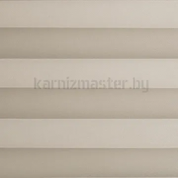Плиссе Блэкаут