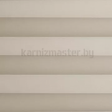 Плиссе Блэкаут